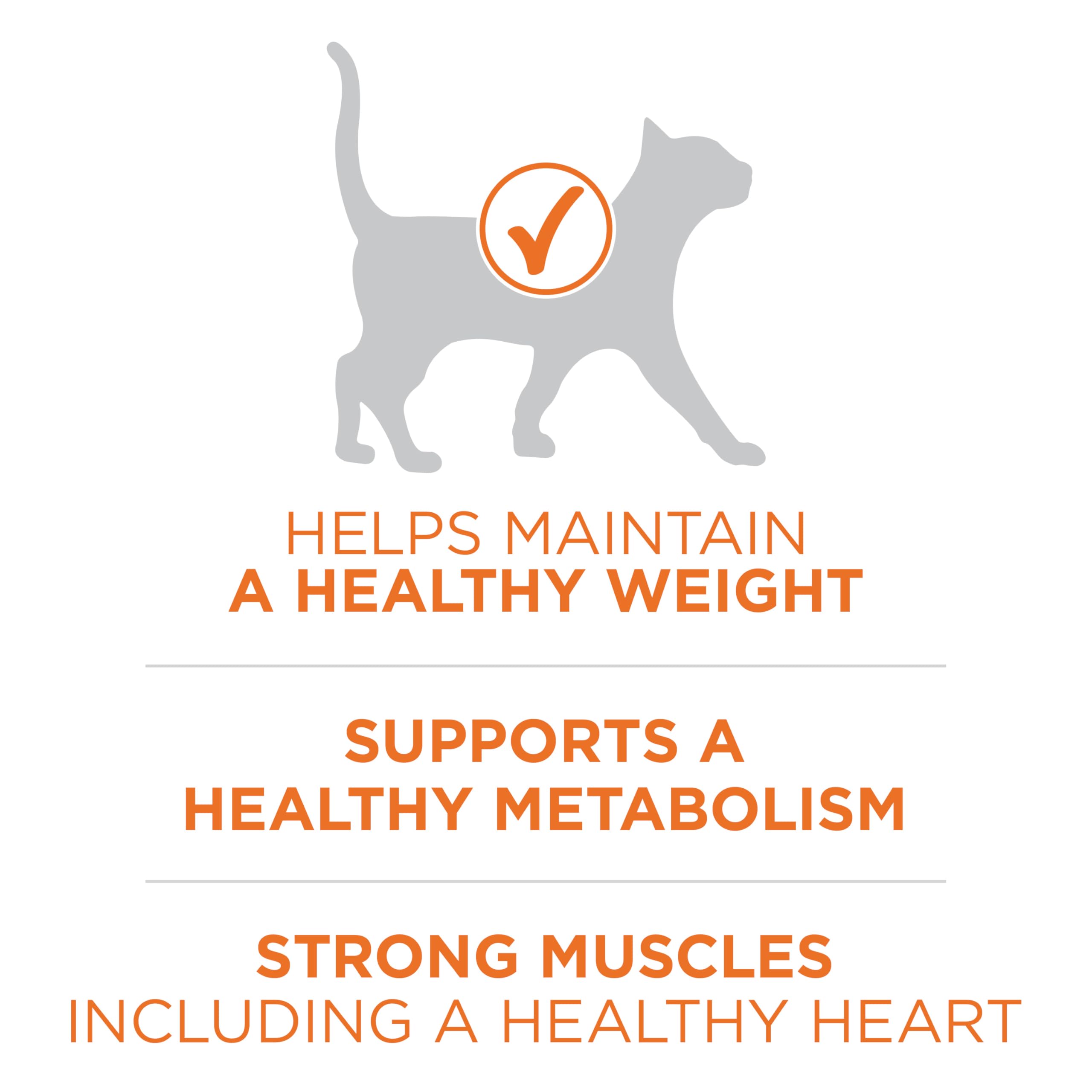 Purina ONE sans remplissage: formule claire sans agents de remplissage pour une digestibilité optimale.