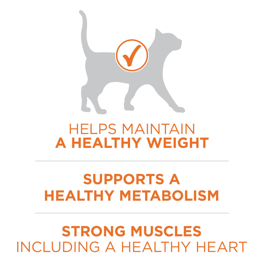 Purina ONE sans remplissage: formule claire sans agents de remplissage pour une digestibilité optimale.