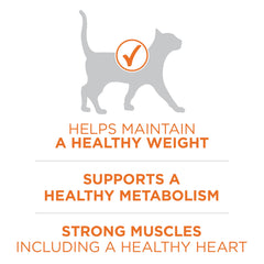 Purina ONE sans remplissage: formule claire sans agents de remplissage pour une digestibilité optimale.