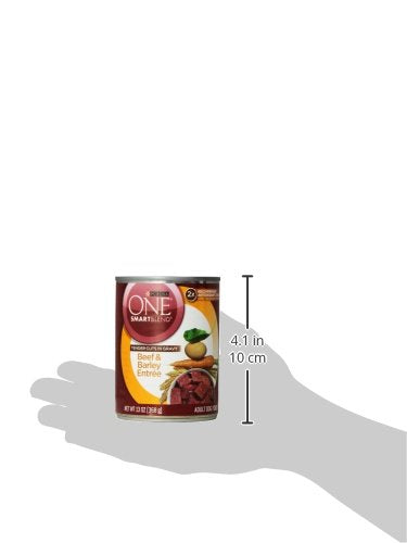 Purina ONE, sauce gravy appétissante sur nourriture humide pour chien