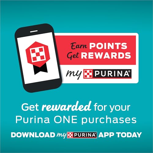 Purina One sauce poulet épaisse, texture riche et réconfortante