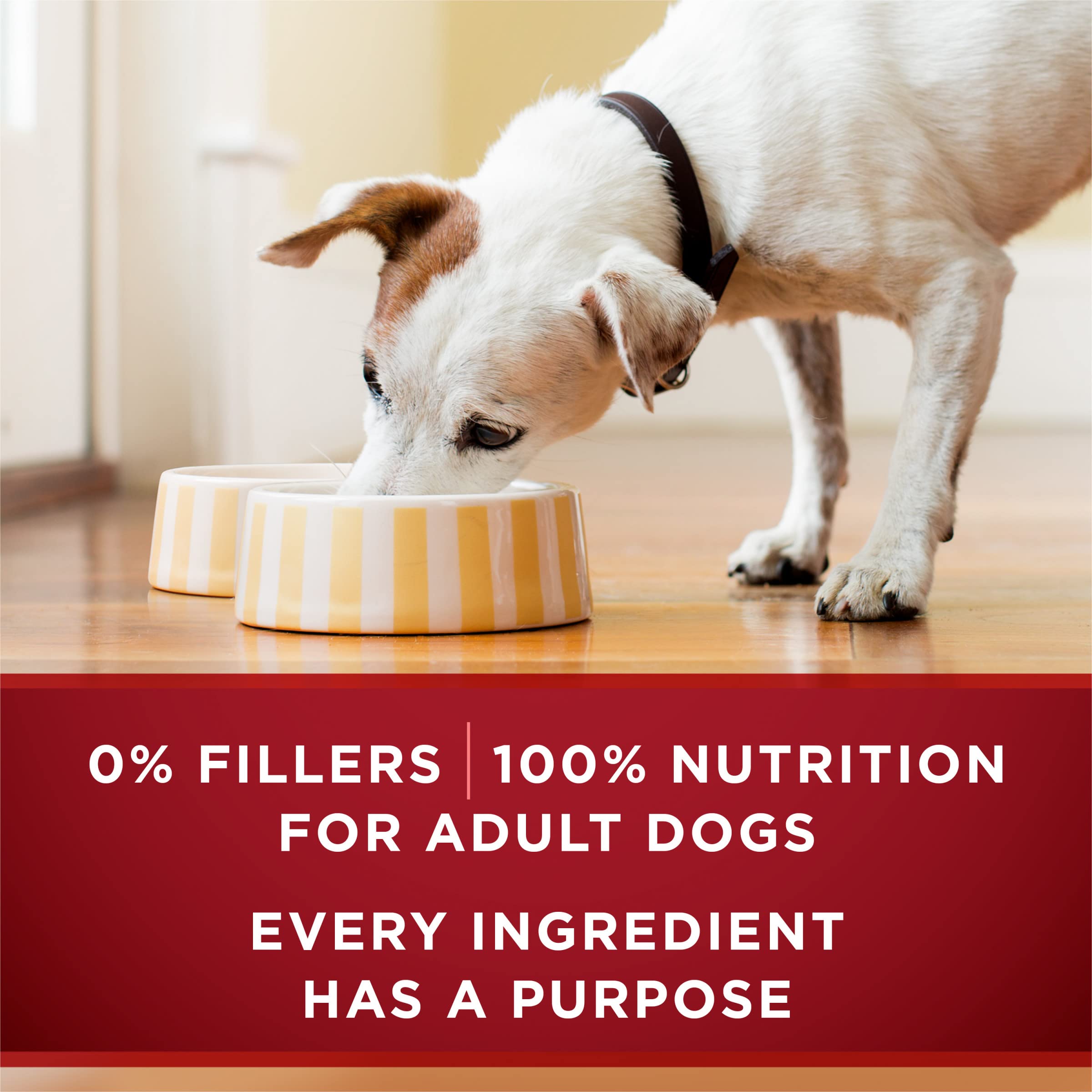 Purina ONE: sauce savoureuse qui complète les morceaux tendres.
