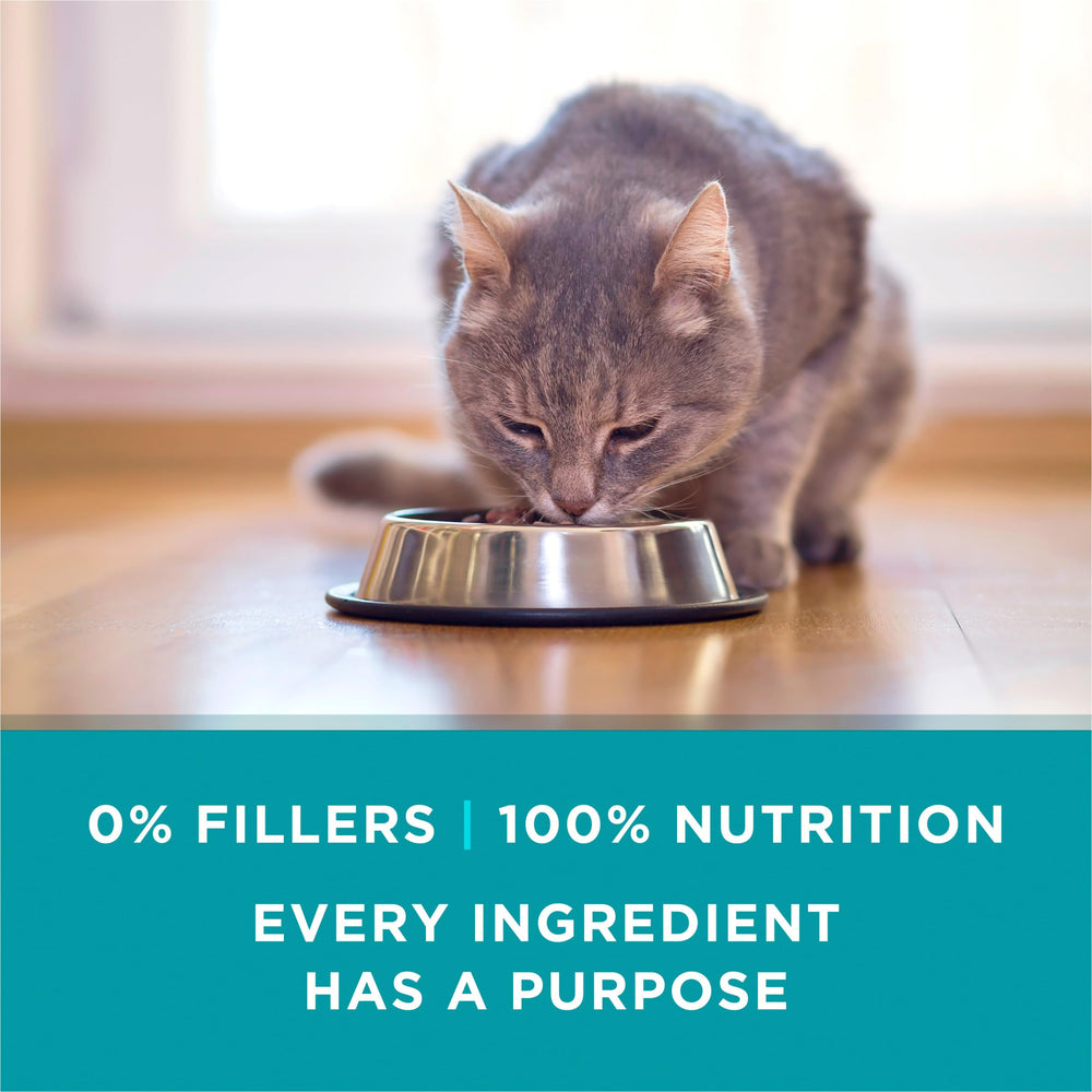 Purina ONE Saveur dinde – goût appétissant qui peut plaire aux chats exigeants.