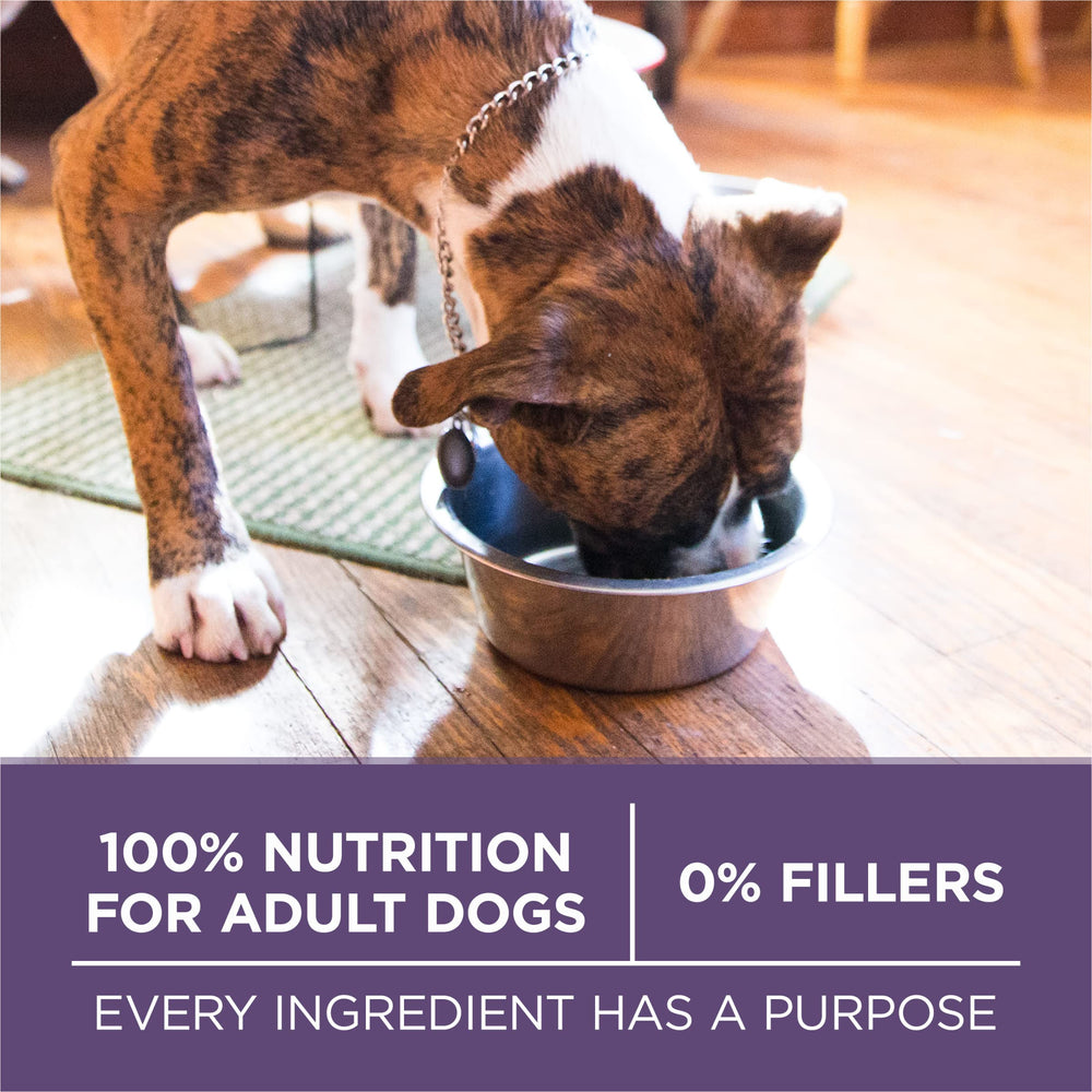 Purina ONE Senior texture croquante et morceaux tendres pour un repas appétissant.