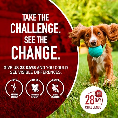 Purina One soutien microbiome – digestion équilibrée et confort.