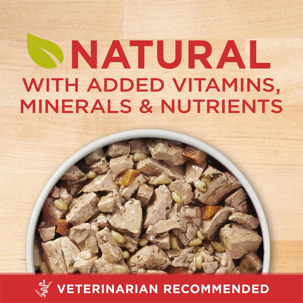 Purina ONE Tender Cuts avec poulet réel et sauce appétissante pour chiens.