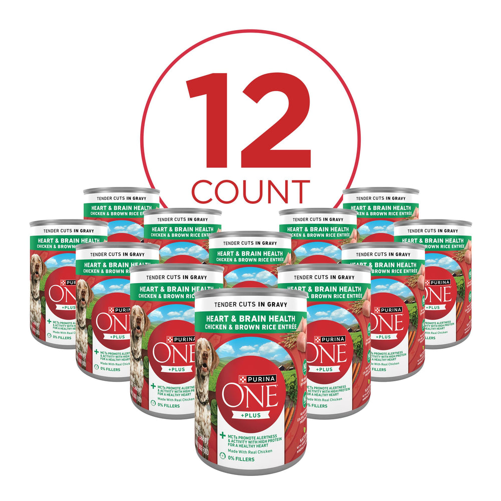 Purina ONE Tender Cuts poulet et riz brun avec gravy, texture onctueuse.