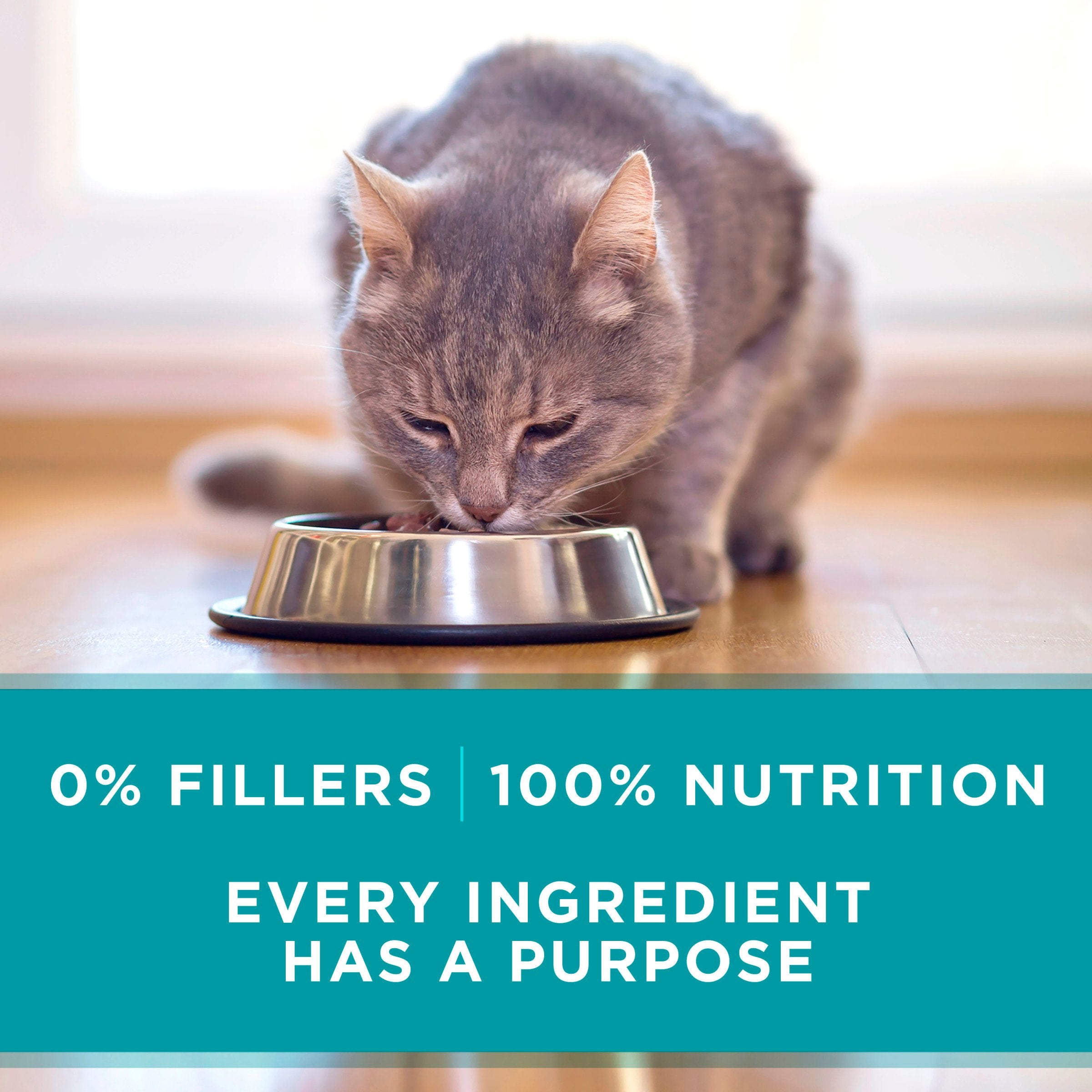 Adapté à tous les stades de vie, Purina ONE Pâté Chat Dinde.