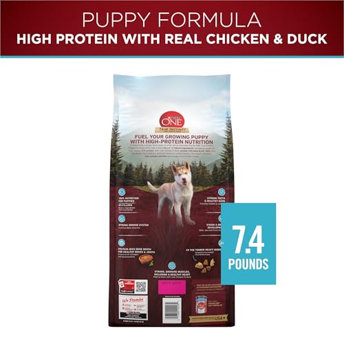 Purina ONE True Instinct croquettes croustillantes – repas quotidien idéal.