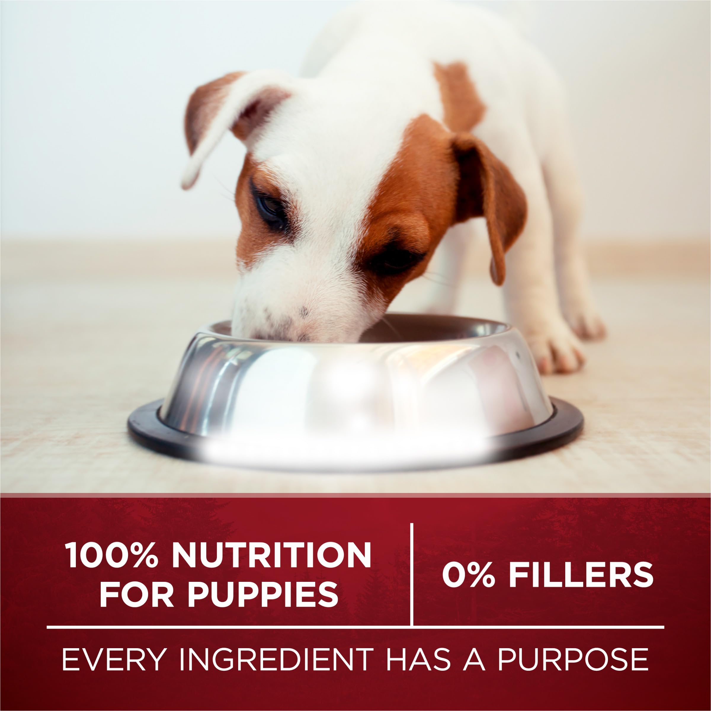 Purina ONE True Instinct chiot: nutrition 100% sans compromis pour chiots.