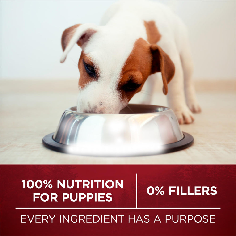 Purina ONE True Instinct chiot: nutrition 100% sans compromis pour chiots.