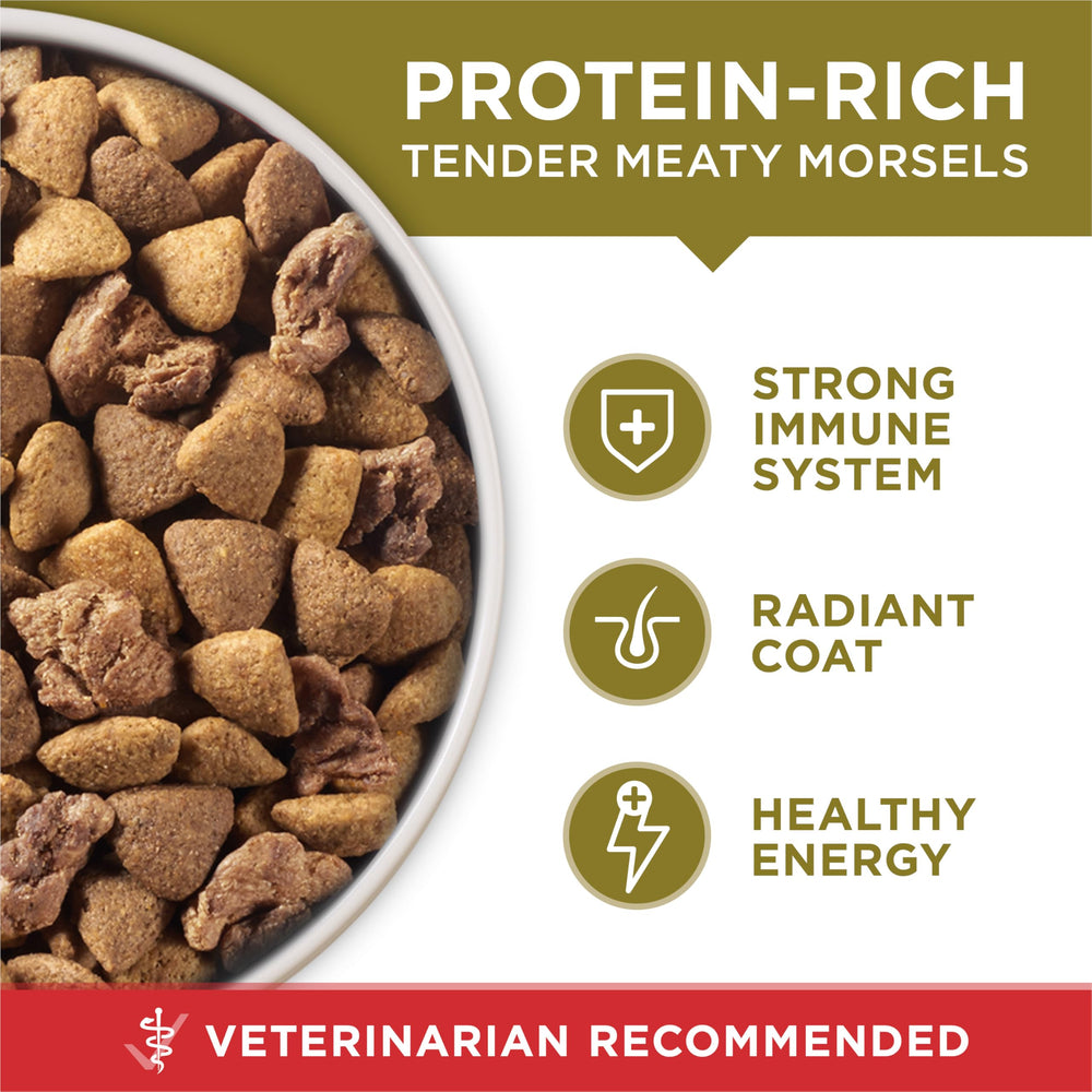 Purina ONE vitamines yeux peau — nutriments essentiels