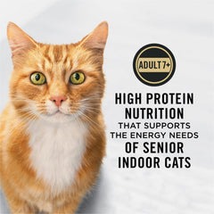 Chat d’intérieur dégustant Purina Pro Plan dans un cadre domestique.