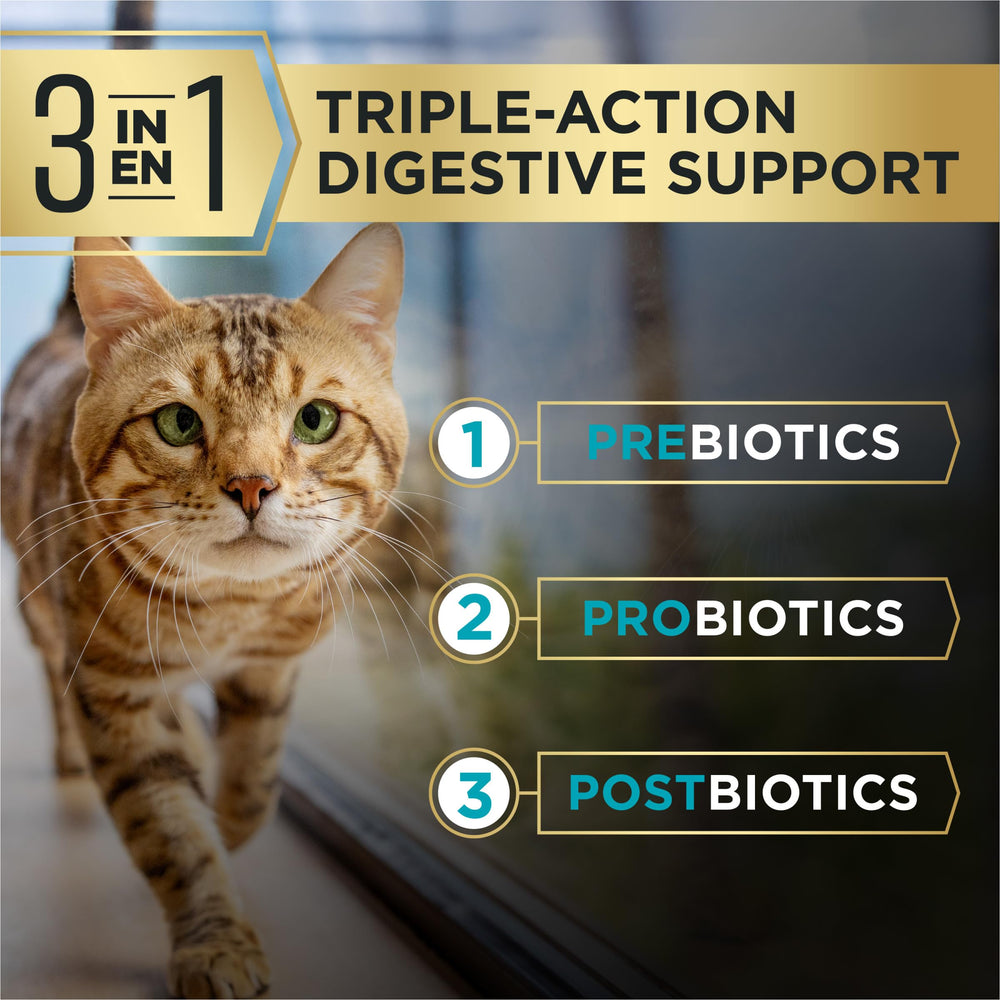 Purina Pro Plan AdvantEDGE chat saumon riz prébiotiques probiotiques postbiotiques, soutien digestif.