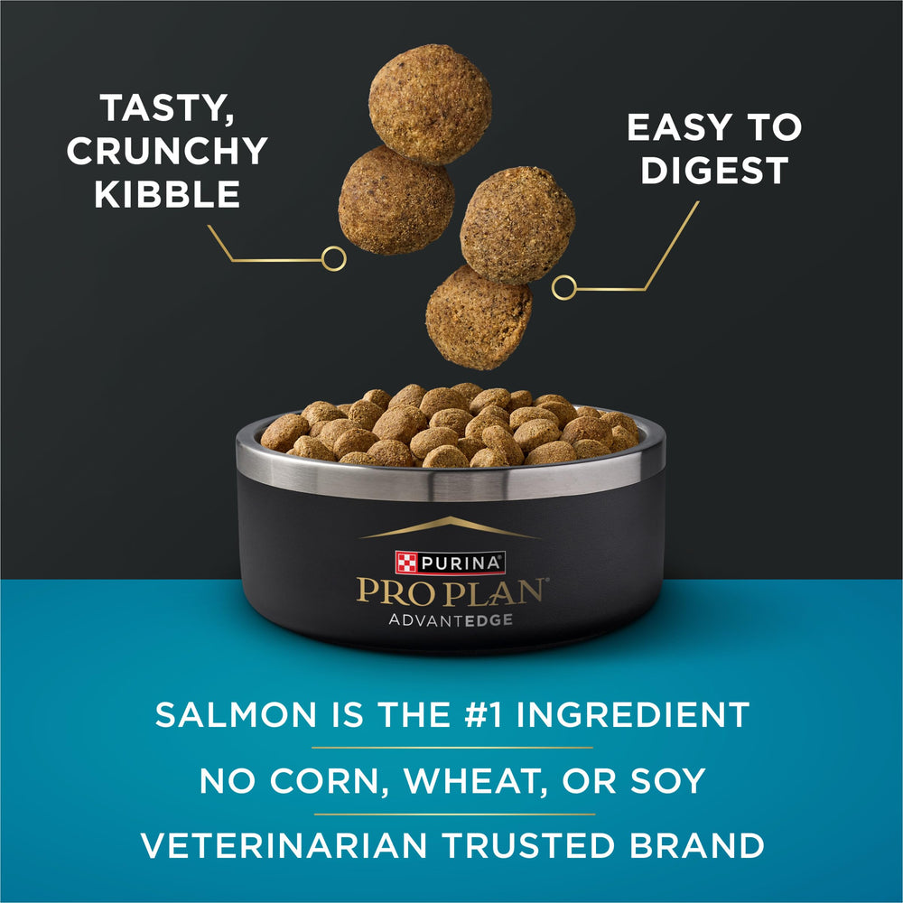 Purina Pro Plan AdvantEDGE: texture des croquettes avec flocons d'avoine faciles à digérer.