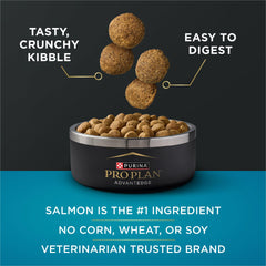 Purina Pro Plan AdvantEDGE: texture des croquettes avec flocons d'avoine faciles à digérer.