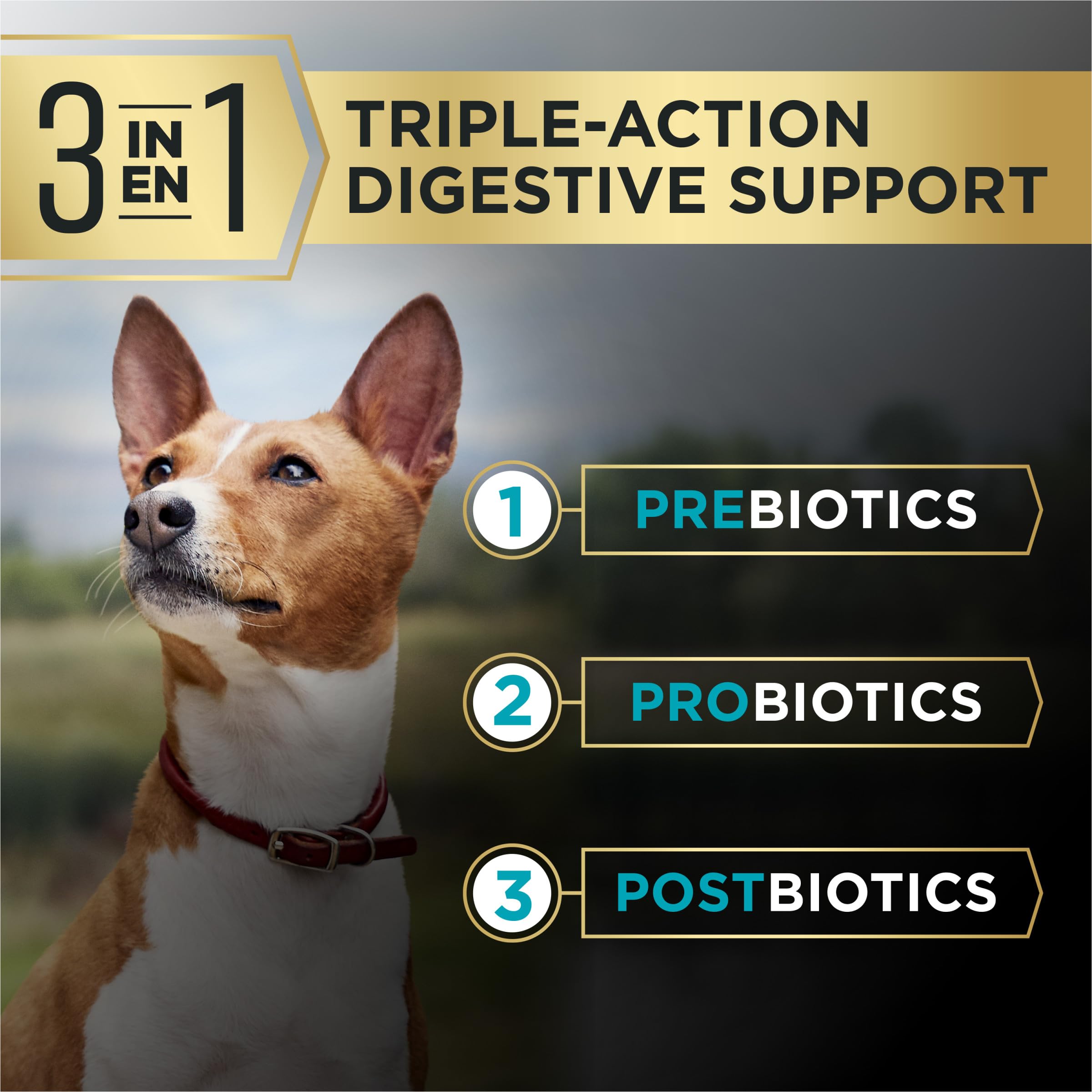 Purina Pro Plan AdvantEDGE sans maïs, sans blé et sans soja pour petite race