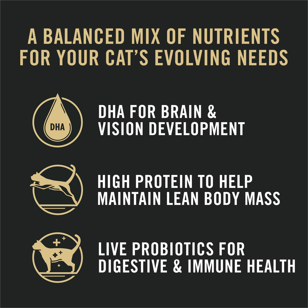 Purina Pro Plan All Life Stages gros plan croquettes poulet, texture et goût.