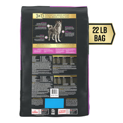 Croquettes Purina Pro Plan AdvantEDGE au poulet et riz, goût apprécié et digestion facilitée.