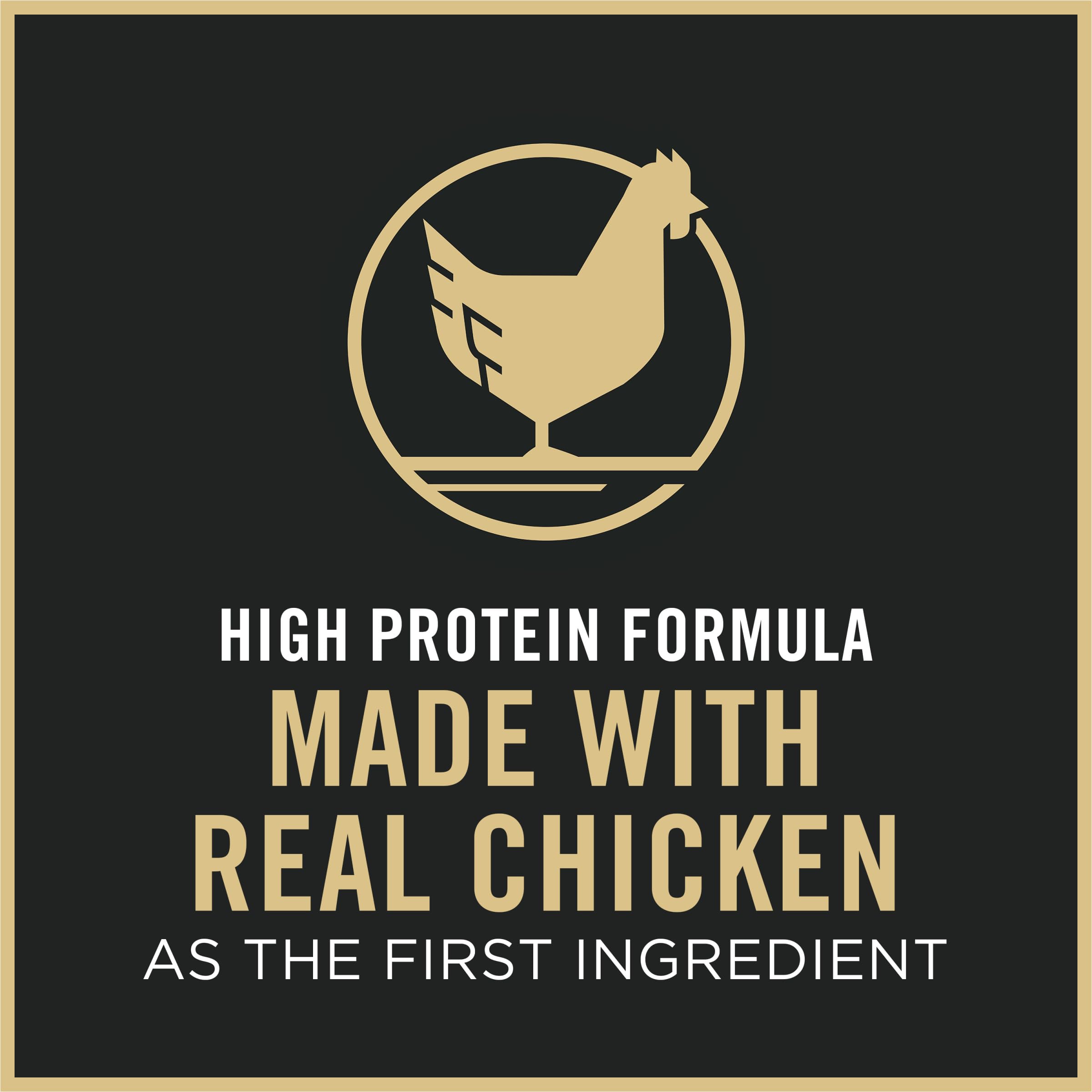 Purina Pro Plan Chat, bol de repas avec croquettes attirantes.
