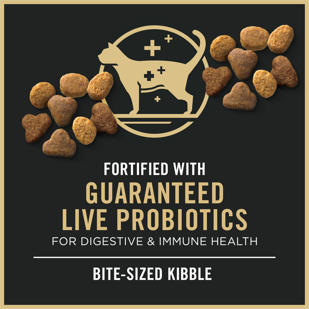 Purina Pro Plan Chat, formule essentiels complets poulet et riz — ancien nom savor.