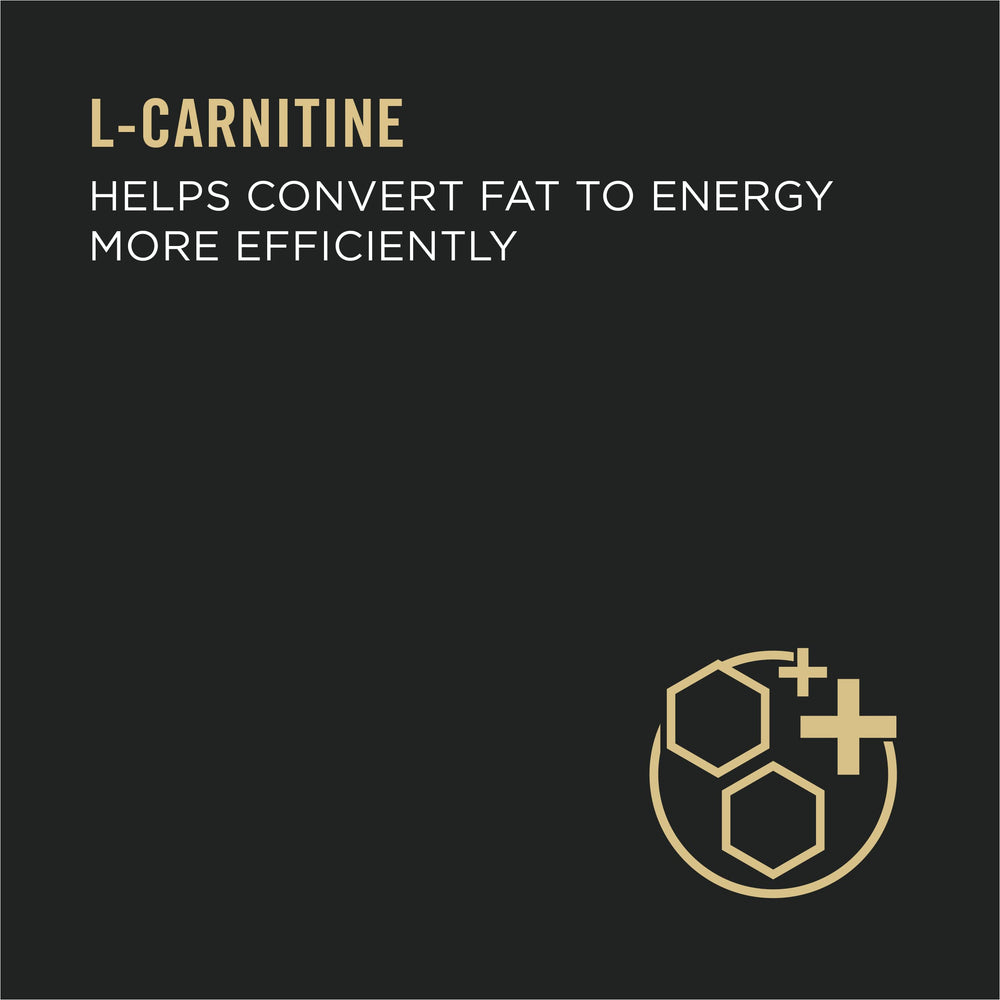 Purina Pro Plan – antioxydants soutiennent le système immunitaire du chat