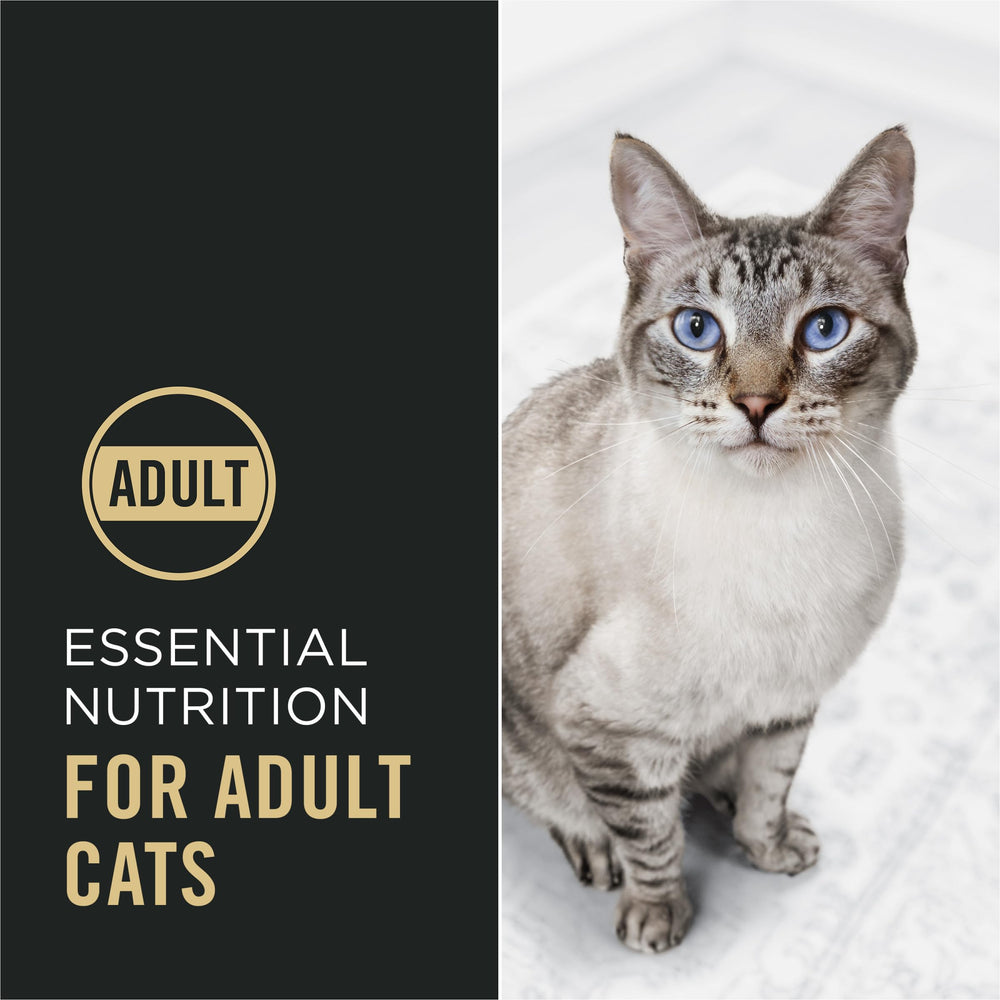 Purina Pro Plan Chat, probiotiques soutenant la digestion et l’équilibre intestinal.