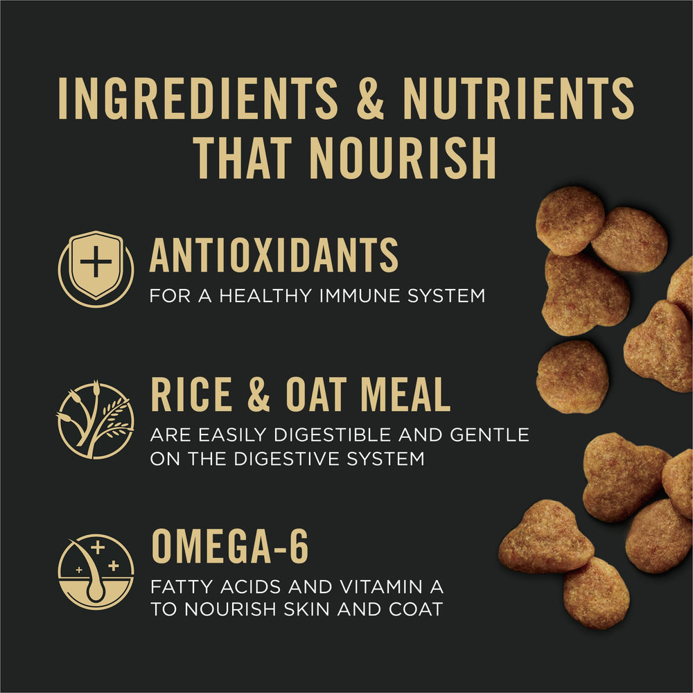 Purina Pro Plan Chat saumon et riz antioxydants — immunité soutenue