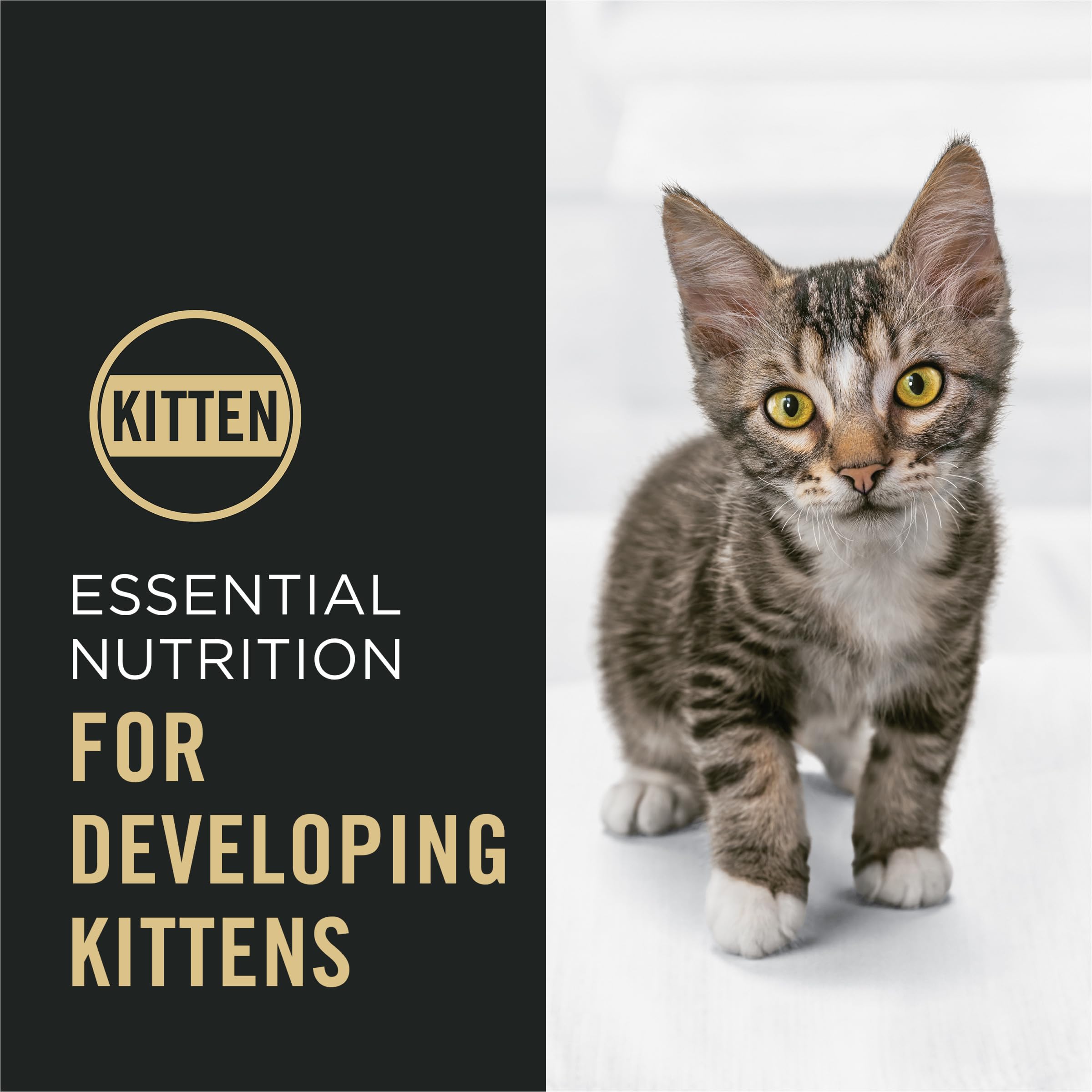 Purina Pro Plan Chaton inclut DHA pour soutien du développement cérébral et vision.