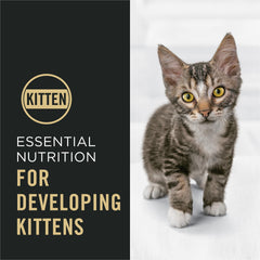Purina Pro Plan Chaton inclut DHA pour soutien du développement cérébral et vision.