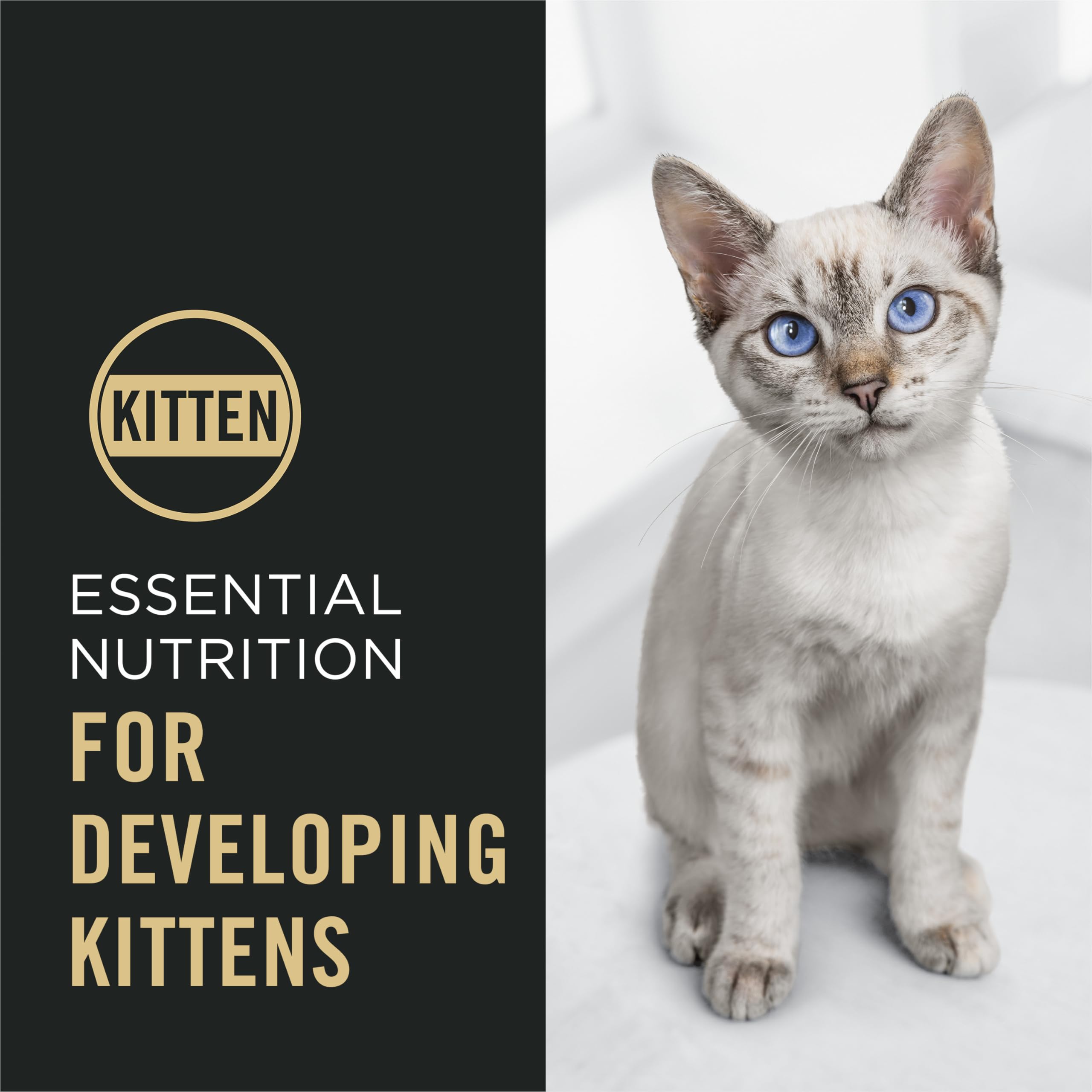 Purina Pro Plan Chaton oméga-6 et vitamine A pour peau et pelage.