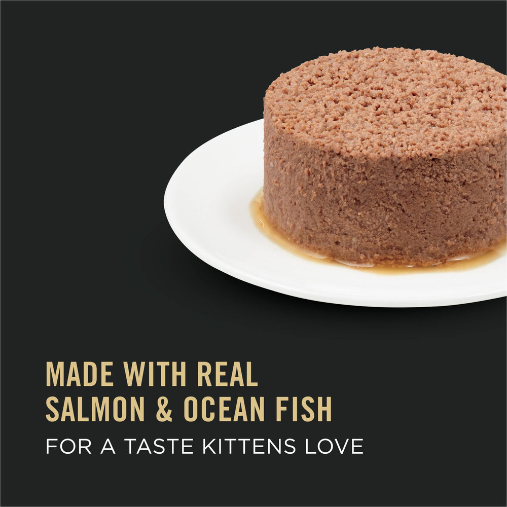 Purina Pro Plan Chaton Pâté Saumon et Mer : goût apprécié par les chatons.