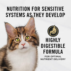 Purina Pro Plan Chaton Saumon Riz Croquettes riches en protéines pour croissance