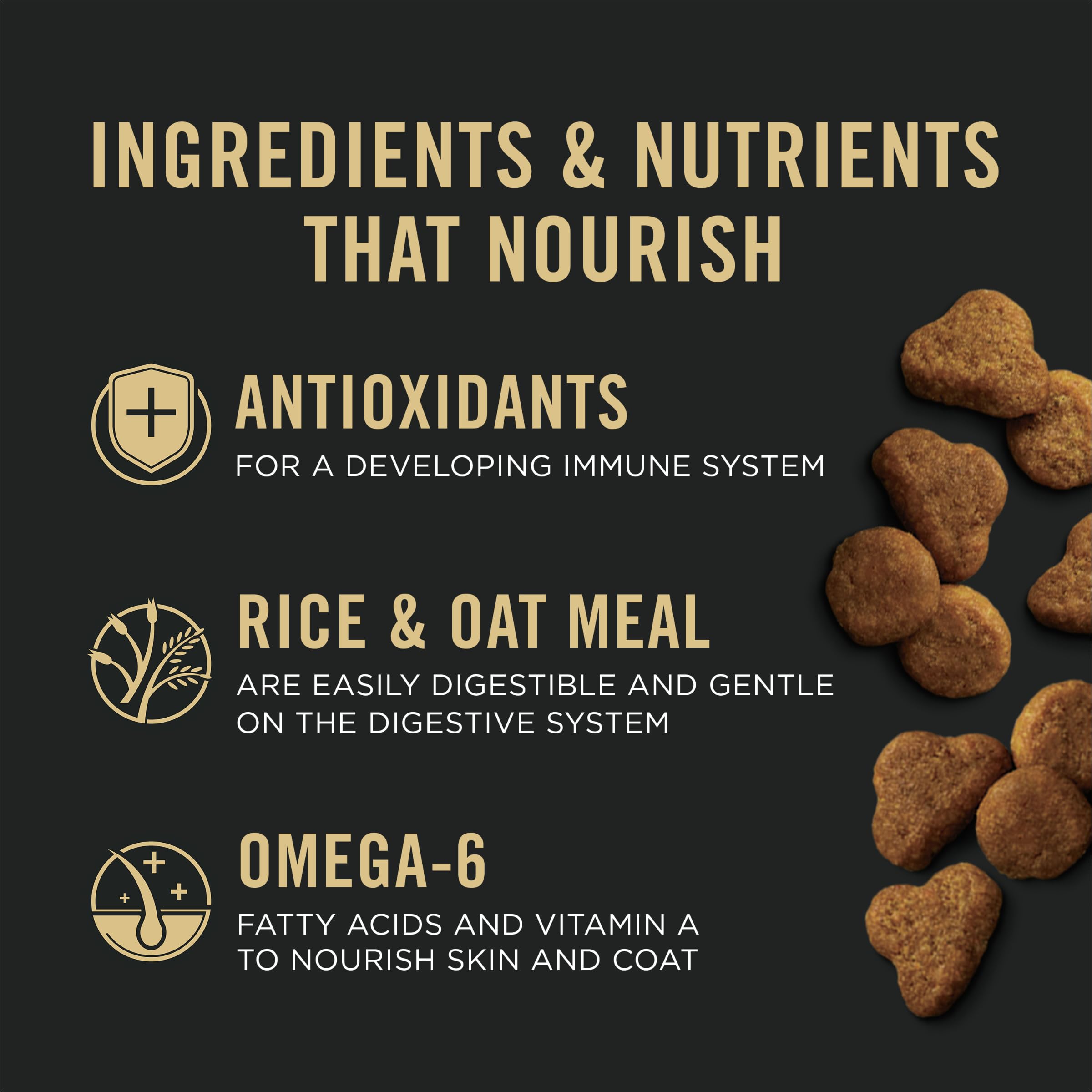 Purina Pro Plan Chaton Saumon Riz minéraux forts pour os et dents