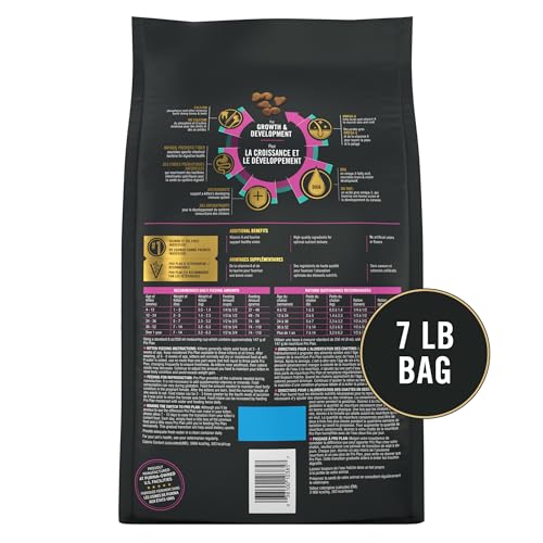Purina Pro Plan Chaton Saumon Riz Nutriments clés pour croissance saine