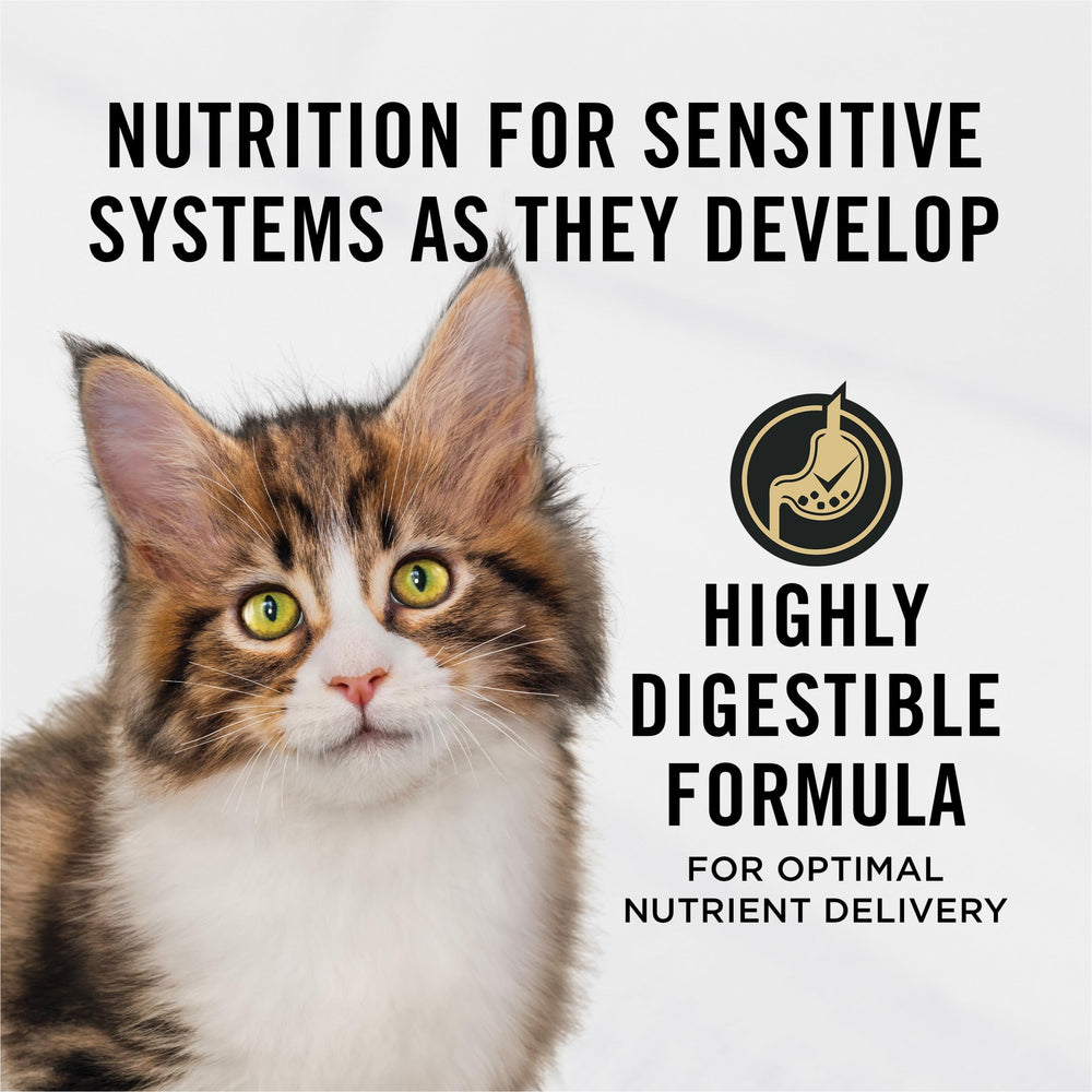 Purina Pro Plan Chaton Saumon Riz croquettes digestibles pour estomac sensible