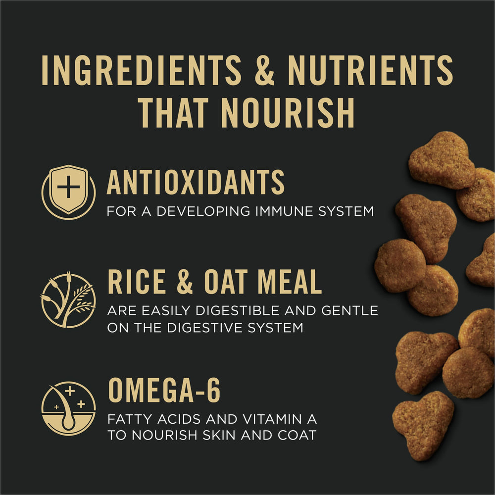 Purina Pro Plan Chaton Saumon Riz Taurine et Vitamine A pour peau et pelage