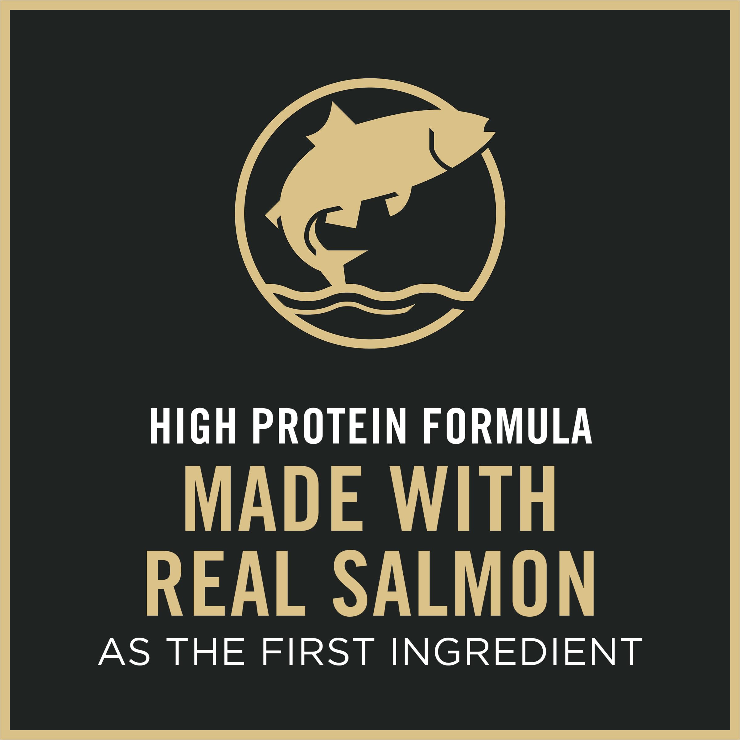 Purina Pro Plan Chaton Saumon Riz utilisation quotidienne recommandée