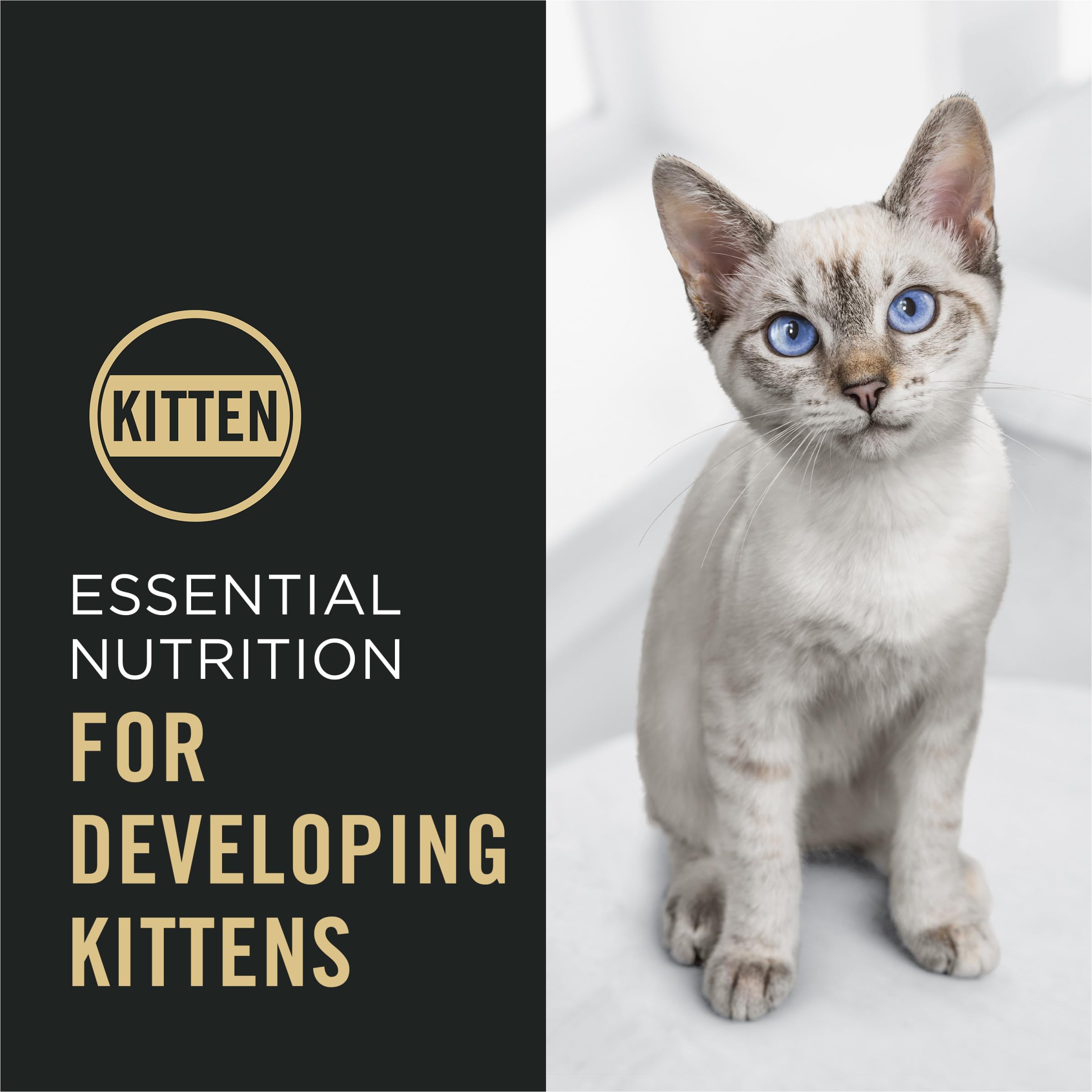 Purina Pro Plan Kitten DHA pour le développement cérébral et visuel.