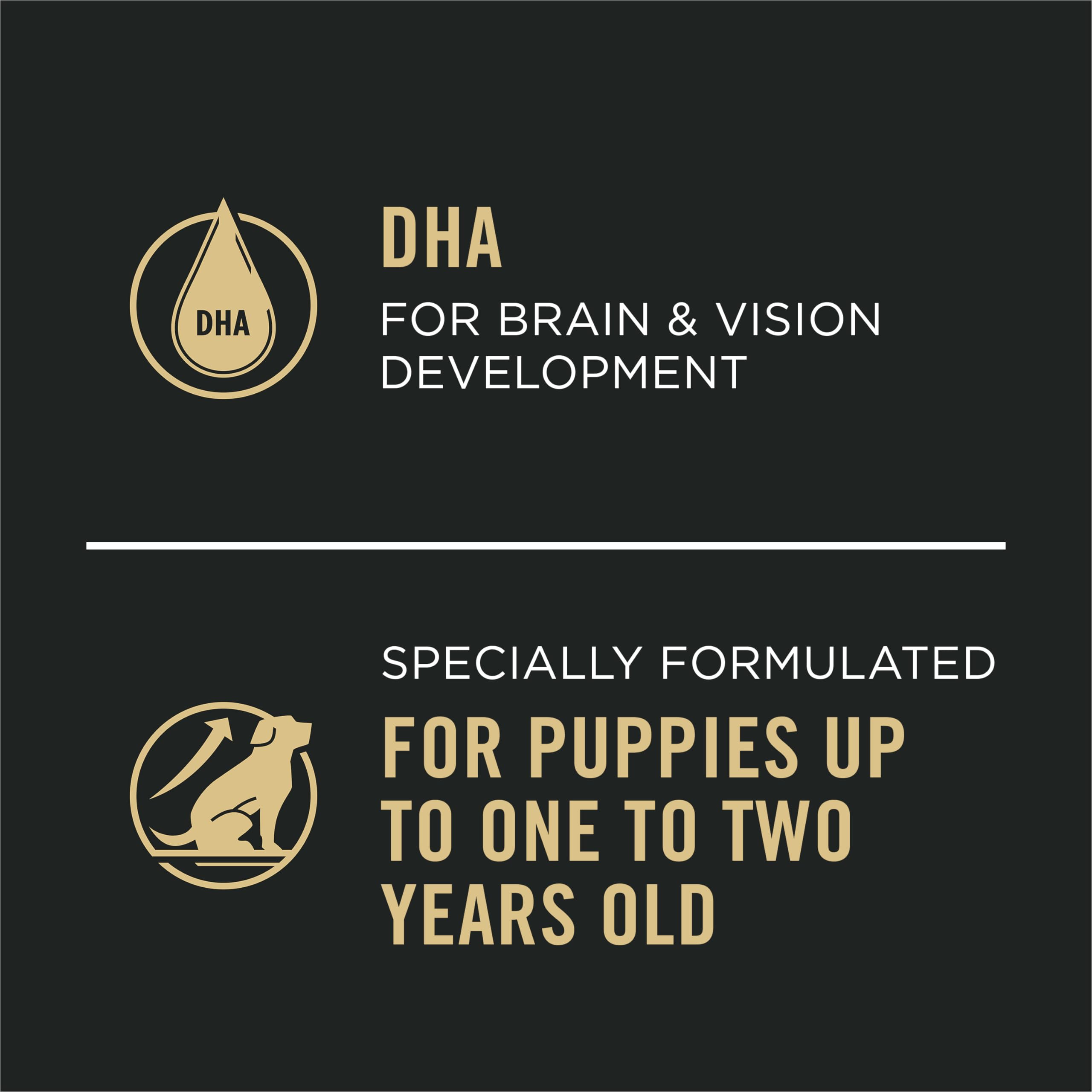 Purina Pro Plan chiot dha cerveau et vision boite 13oz pack12 soutien developpement.