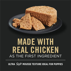 Purina Pro Plan chiots premier ingrédient poulet entree humide