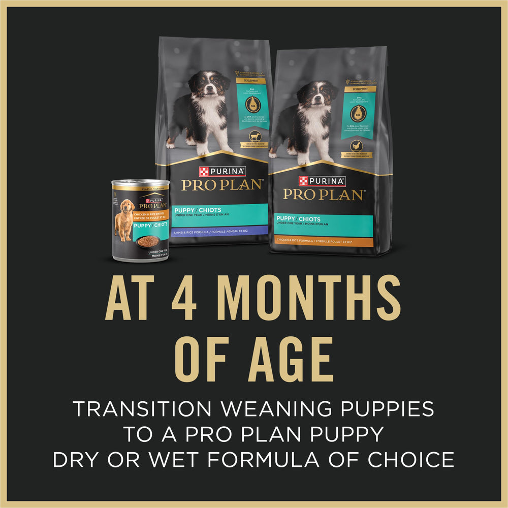 Purina Pro Plan chiots soutien immunitaire developpement cerveau