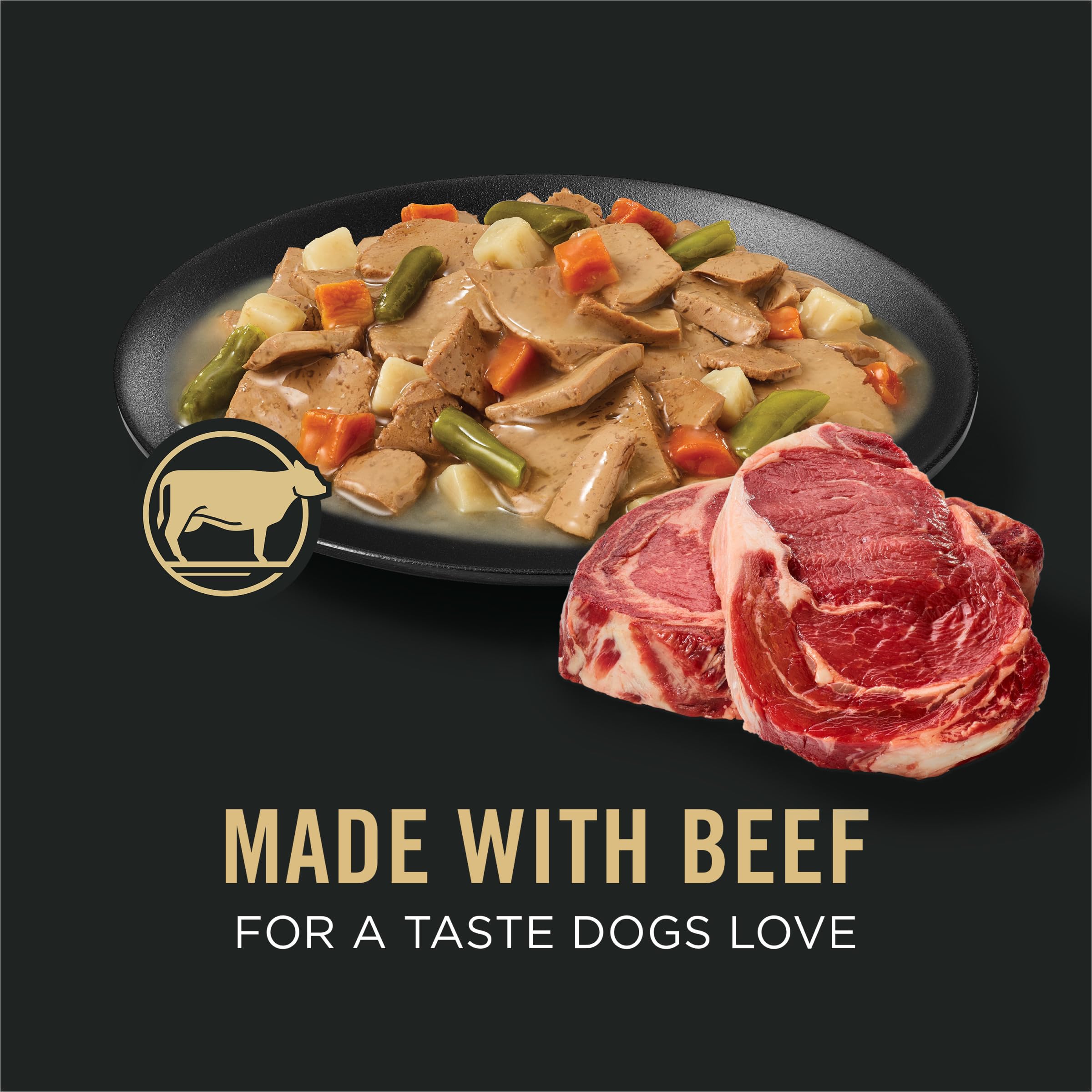 Purina Pro Plan Complete Essentials boeuf en sauce crémeuse dans une assiette