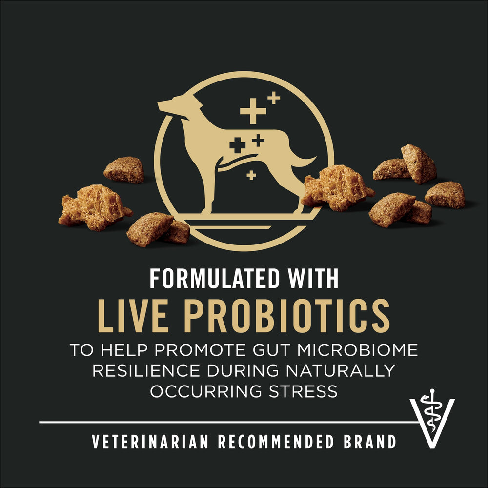 Purina Pro Plan Complete Essentials probiotiques vivants pour soutien digestif potentiel