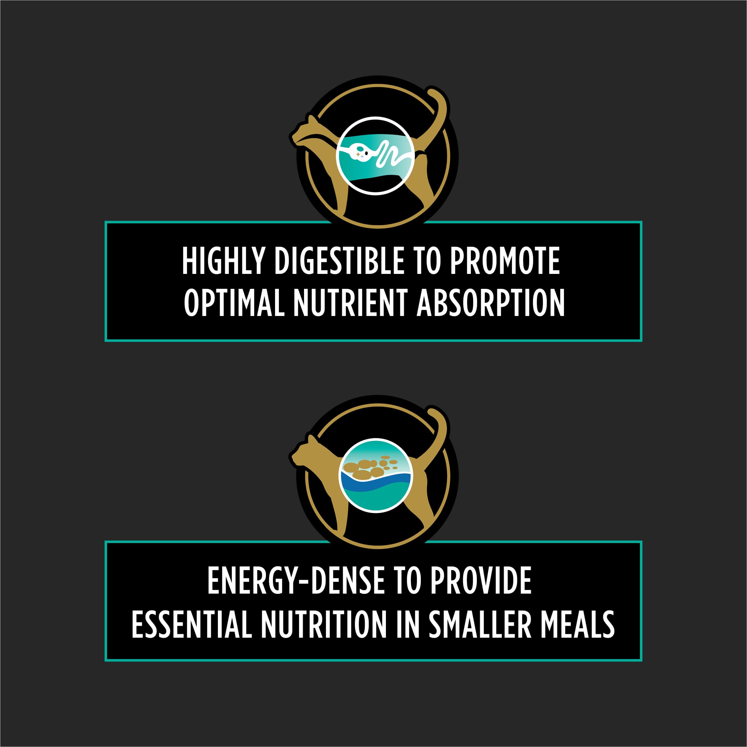 Purina Pro Plan Vet Diets: croquettes à haute densité énergétique pour petites portions.