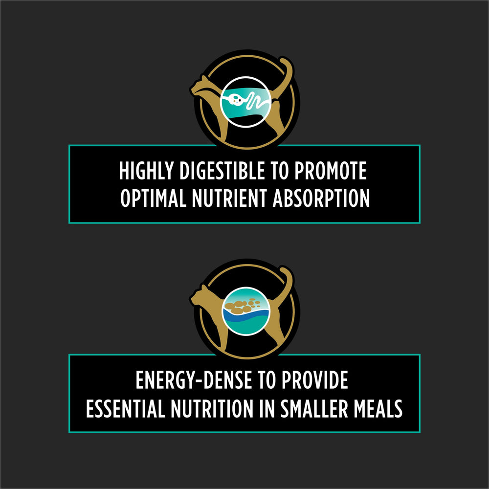 Purina Pro Plan Vet Diets: croquettes à haute densité énergétique pour petites portions.