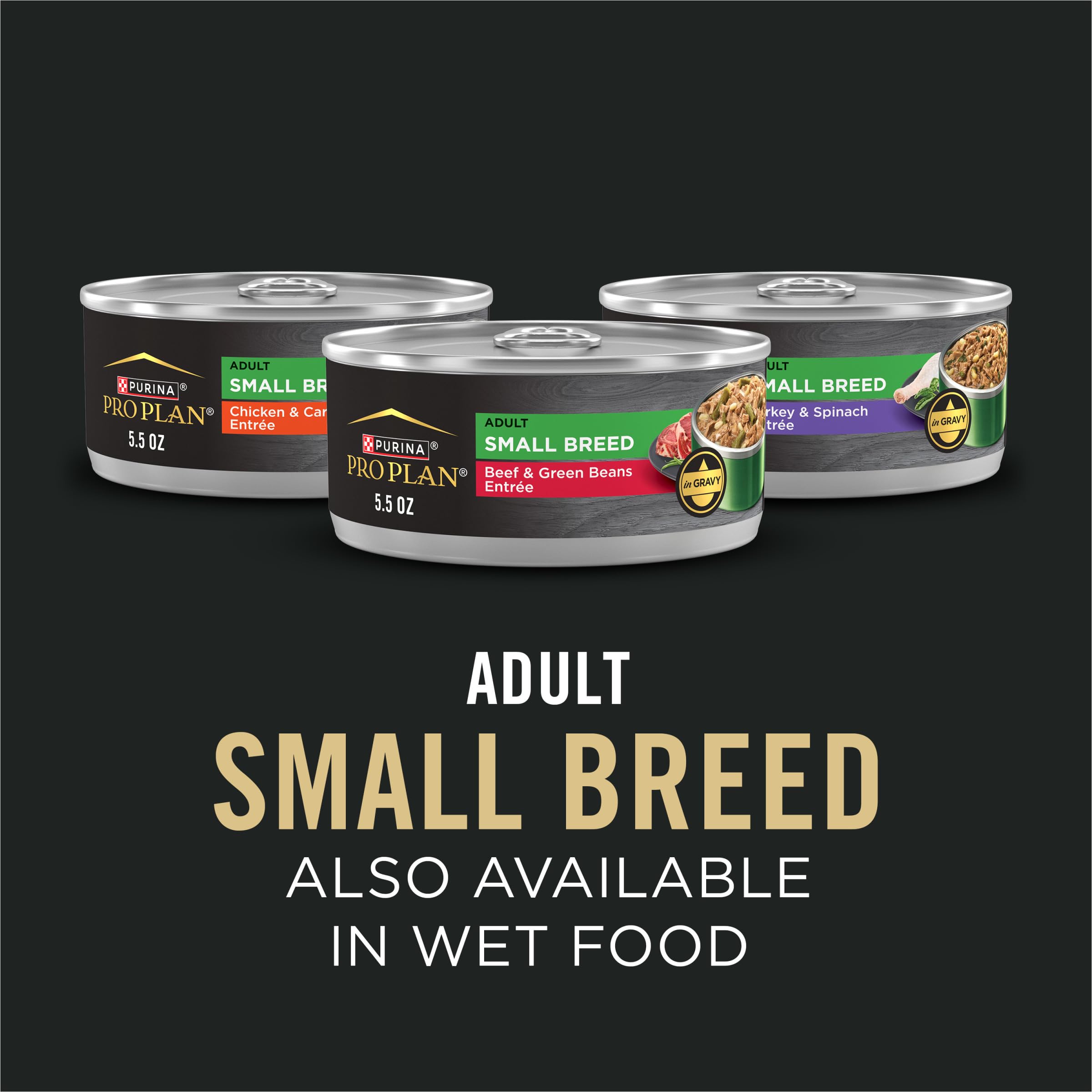 Kibbles de petite taille faciles à mâcher pour petits chiens