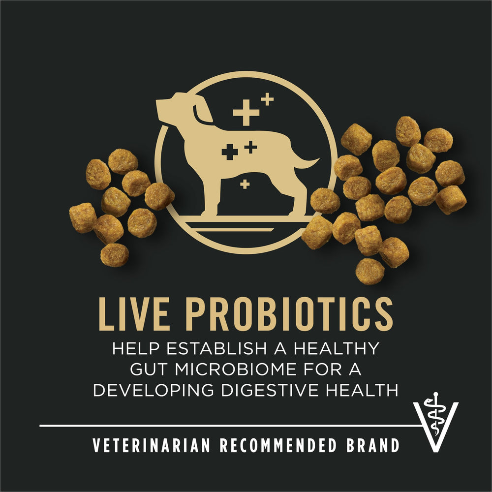 Purina Pro Plan croquettes-poulet-premier-ingrédient favorise une saveur riche et nutritive.