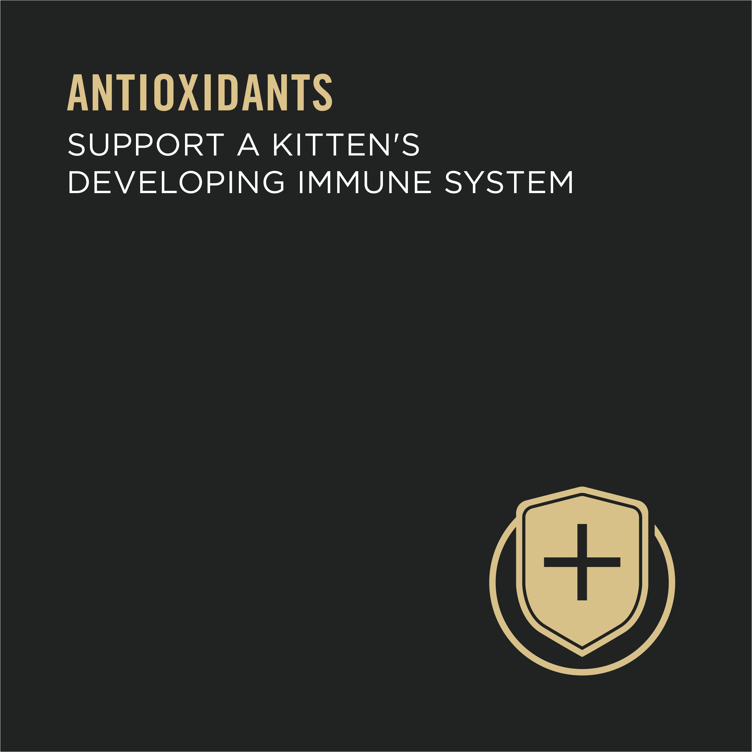 Purina Pro Plan Development antioxydants-immunite chaton: système immunitaire en croissance.