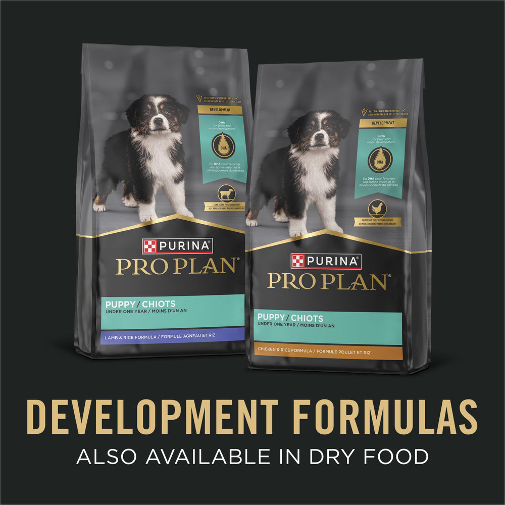 Boîtes Purina Pro Plan Développement 13 oz dinde sans grains